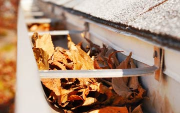 Blandford Forum gutter cleaning companies