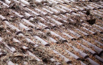 Blandford Forum roof cleaning companies