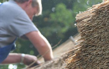 professional Blandford Forum thatchers