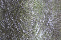 Blandford Forum fibreglass roof work